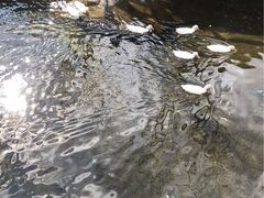 -北京水岸山吧度假村(雁栖镇店)