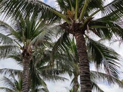 -三亚蜈支洲岛旅游区