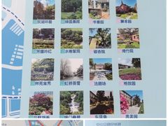 -中山公园