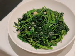 陕南红苕尖-江城小馆陕南妈妈菜·全球旅行餐厅(钟楼店)