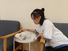 -滚猫咖啡·猫咖·猫友好撸猫(未来城店)