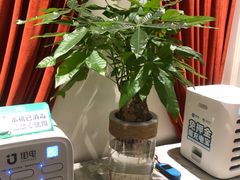 -夜上海(上元大街店)