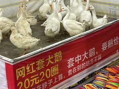 -塔湾兴顺国际观光夜市