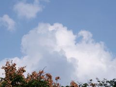 -长广溪湿地公园