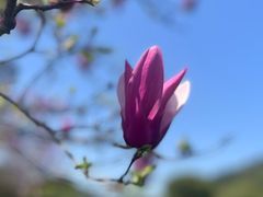 -树山生态村