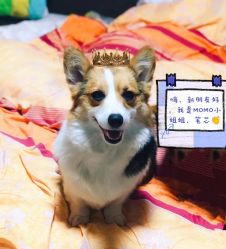 -飛凡TATTOO纹身•原创