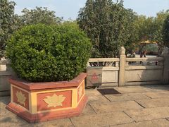 -广州莲花山旅游区