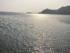 -大鹿岛