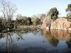 -白马涧龙池景区