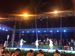 -渔家火锅·海鲜自助餐·演艺(亚龙湾天域酒店)