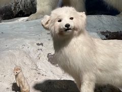 -浙江自然博物院(杭州馆)