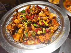 -美蛙四季(亦庄店)