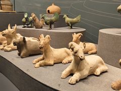 -广西壮族自治区博物馆