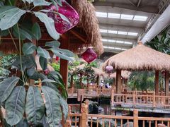 -南宫五洲植物乐园