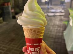 -福苗小骆驼烧烤(莲湖路店)