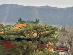 -普陀宗乘之庙(小布达拉宫)