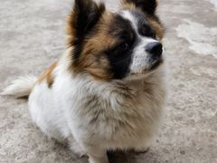 -seeu coffee(江滩店)