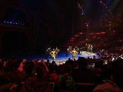 -珠海横琴长隆《卡卡虎奇遇记》