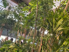 -gaga(深圳福田星河COCO Park店)