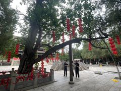 -尧庙景区