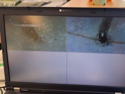 -章光101防脱养发荟