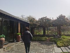 -东园小馆·早茶·淮扬小炒(宋夹城店)