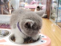 -龟与熊猫宠物公园(南坪店)
