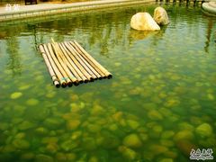 -济南国际园博园