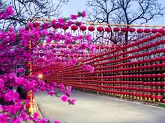 -北京凤凰岭