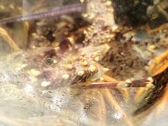 -古韵轩·江浙融合菜(梁溪店)
