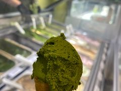 -鹤茶野所(上海首店)