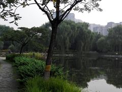 -望湖公园