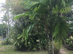 -三亚珠江南田温泉度假区