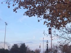 -普林斯顿大学