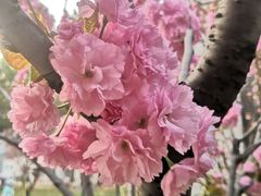 -长沙市青少年宫