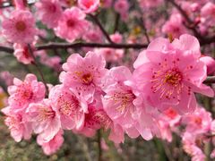 -荆川公园