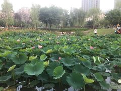 -沐仙湖湿地公园
