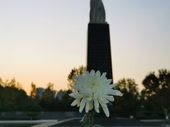 -侵华日军南京大屠杀遇难同胞纪念馆