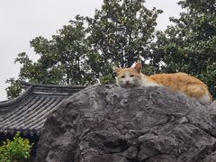 -常熟方塔园