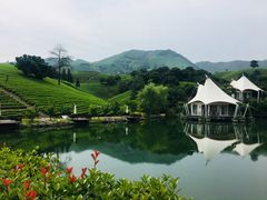 -帐篷客·溪龙茶谷度假酒店