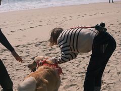 -西涌国际滨海旅游区