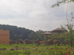 -沈阳森林动物园