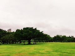 -万绿园