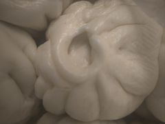 -袁大头包子(光华路店)