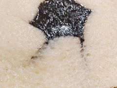 猪油年糕块-红灯笼龙凤饭店(宁波老字号店)