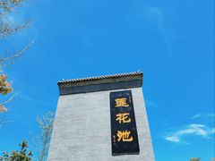 -莲花池公园