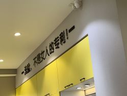 -洗脸猫·洗脸吧