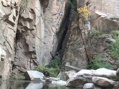 -辛玛王国游乐园