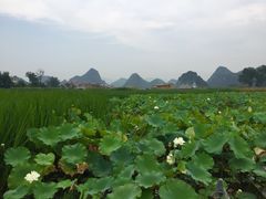 -普者黑风景区-青龙山