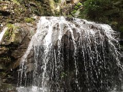 -藏龙百瀑风景区